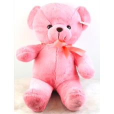 Pink Teddy bear